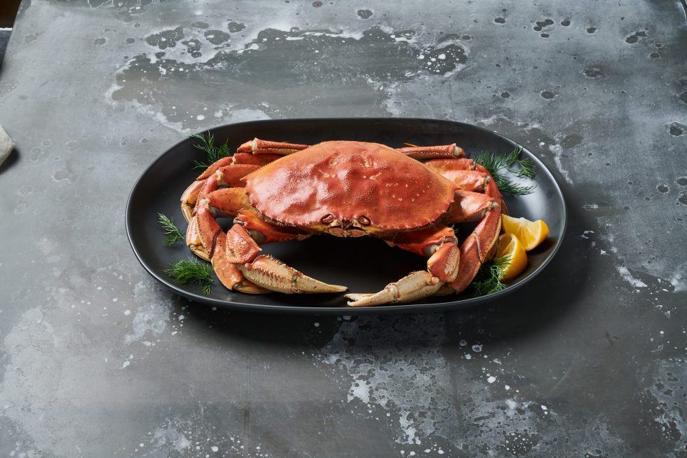 Dungeness Crab Cakes Blue Sea